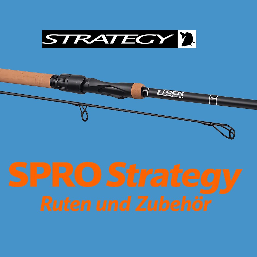 SPRO Strategy